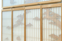 Ranma&Shoin Set EZ2971