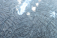 Osaka Lattice door F8361