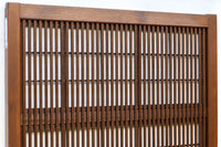 Osaka Lattice door F8361