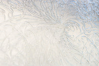 Osaka Lattice door F8361