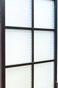 Glass door F8075