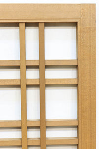 Lattice door F8137