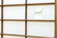 幅870ミリ 風情が深まる大きなガラス面のある雪見障子戸 F8207 在庫2枚