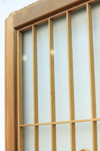 Glass door F8233