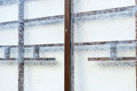 Glass door F8274