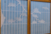 Glass door set F8409