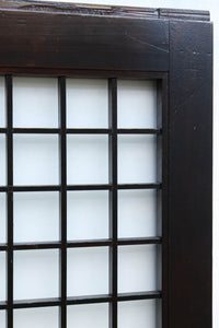 Glass door F8415