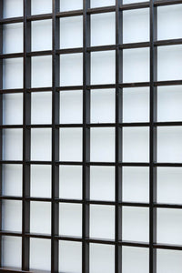 Glass door F8415