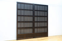 F8438 Lattice door