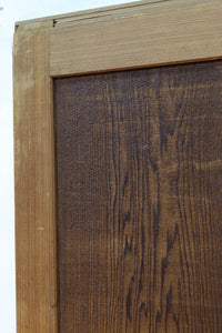 唐獅子の親子に牡丹を添えた歴史を重ねた味わい深い絵戸一組 F8481ab 在庫2枚一組