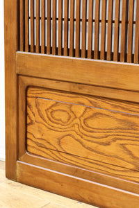 Osaka Lattice door F8506