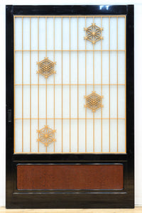 Glass door F8543