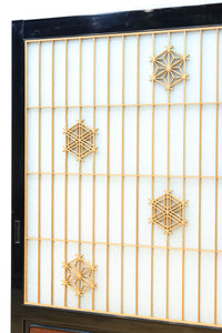 Glass door F8543