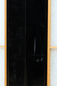 Glass door F8543