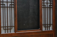 Glass door F8586