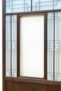 Glass door F8586