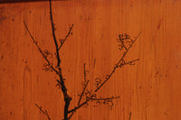 鷹と雉と梅の縁起良い板絵戸セット F8593 在庫2枚1組