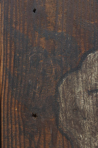 幅860ミリ 東海道から望む富士を描いたのか風情漂う素晴らしい板絵戸セット F8594 在庫2枚1組