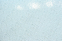 Glass door F8661