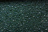 Glass door F8708