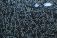 Glass door F8708