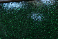 Glass door F8708