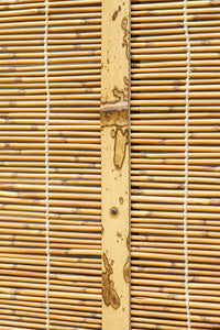 Bamboo Blind Door F8713