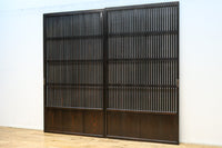 Lattice door F8724