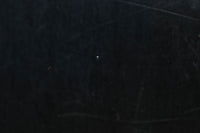 Glass door F8730