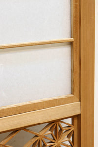 Snow-viewing shoji screen doors F8731
