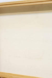 Snow-viewing shoji screen doors F8731