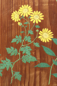 高さ1982ミリ 裏表で異なる草花を描いた趣きある杉一枚板絵戸 F8755 在庫2枚1組