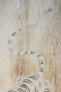 勇ましく凛々しさのある龍虎を雄々しく描いた板絵戸 F8782a 在庫2枚一組