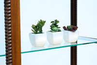 上品な艶色に包まれた開放的な眺めの高脚ガラスケース BB3037