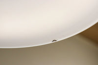 レトロ感のある平笠 DC5424