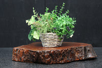 Antique tools DC7432a