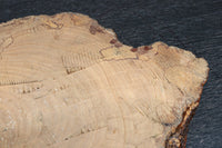 Antique tools DC7432a