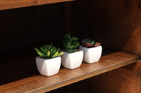 稀少サイズ!!ディスプレイが映えるレトロモダンな高脚ガラスケース BB3151