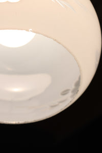 椿の花の透かし絵が浮かぶ可愛らしい電笠 DC8440