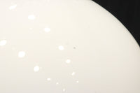 椿の花の透かし絵が浮かぶ可愛らしい電笠 DC8440