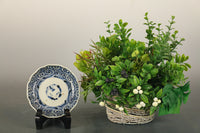 品の良い藍色が美しい蛸唐草模様の豆皿 DB4879 在庫2枚