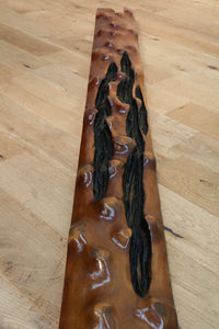 床の間の化粧板に最適な艶のある長板 DB3164a