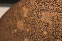 極上!! 四季折々の花木が描かれた扇形の板を並べた風流な欄間 E6085ab 在庫(a:1 b:0)枚