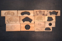 Confectionery type DB7430a-g stock with lid with paste and side dishes (a:1 b:1 c:1 d:1 e:1 f:1 g:1)