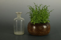 中身が見える淡い透明色のガラス瓶 Da5576c