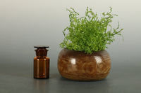 可愛らしいサイズの茶色のガラス瓶 Da5576k