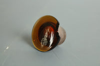 可愛らしいサイズの茶色のガラス瓶 Da5576k