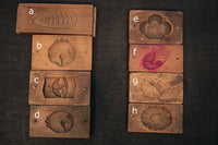 A cake type DB5884a-h stock with a lid aligned with a pattern of a good luck flora and fauna (a:1 b:0) c:0 d:1 e:0 f:1 g:1 h:1)