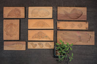 丁寧に絵柄を彫って作られた菓子型 DB2474bdfi 在庫4個