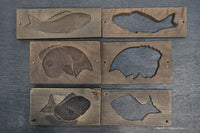 Carefully carved fish confectionery DB8121a-c stock (a:1 b:1 c:1)